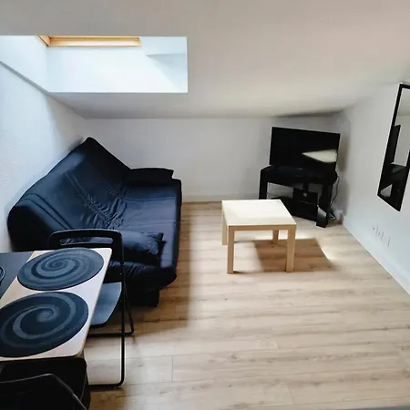 Apartment Les Flamants Roses La Capte Clim 4pers 100m *