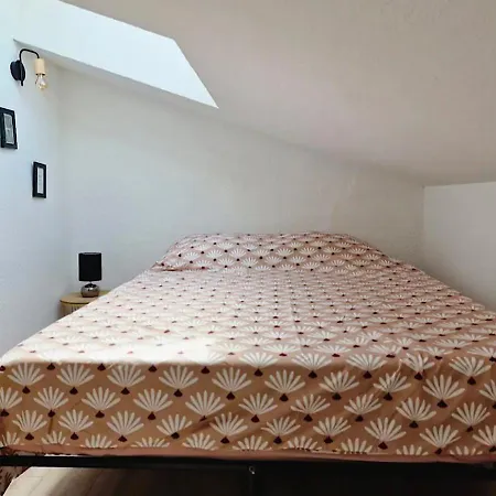 Apartment Les Flamants Roses La Capte Clim 4pers 100m