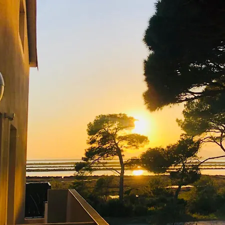Apartment Les Flamants Roses La Capte Clim 4pers 100m Hyeres